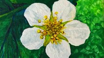 Strawberry Leaves and Blossom painting on canvas, a step by step Acrylic Tutorial   #irmgardart
