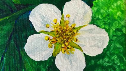 Acrylic Painting Tutorials by Irmgard Rawn - Dailymotion
