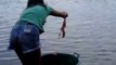 Voilà comment on pêche des piranhas au brésil : la main dans l'eau