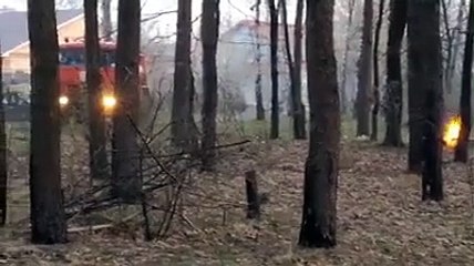 Il se fait surprendre en plein barbecue sauvage durant la quarantaine