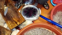 Mürekkep Balığı Nasıl Temizlenir - How to Fillet Cuttlefish