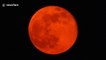 Ominous blood-red moon looms over London