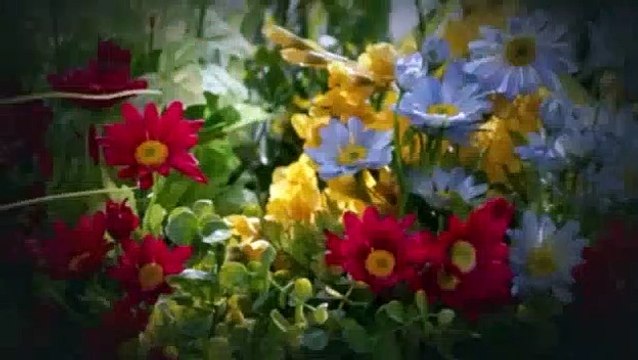 Andi Mack S03E13 Mount Rushmore Or Less