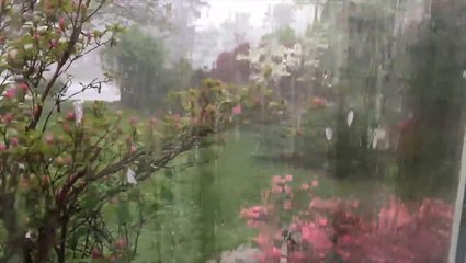 Rain coming down in buckets