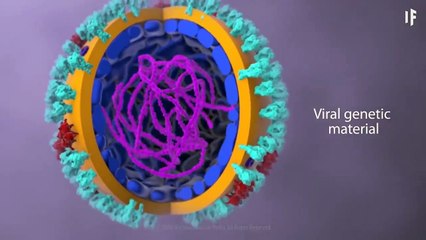 COVID-19 ¿Qué le pasa a tu cuerpo si te contagias de coronavirus?