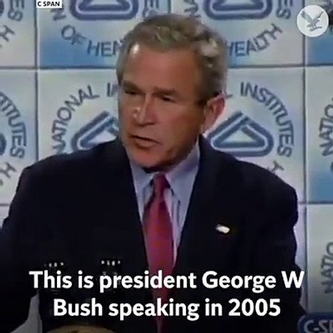 bush