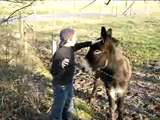 L'homme qui murmure à l'oreille des anes