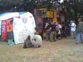 Azf- kromozohm- réformé-ratkore-insomniak