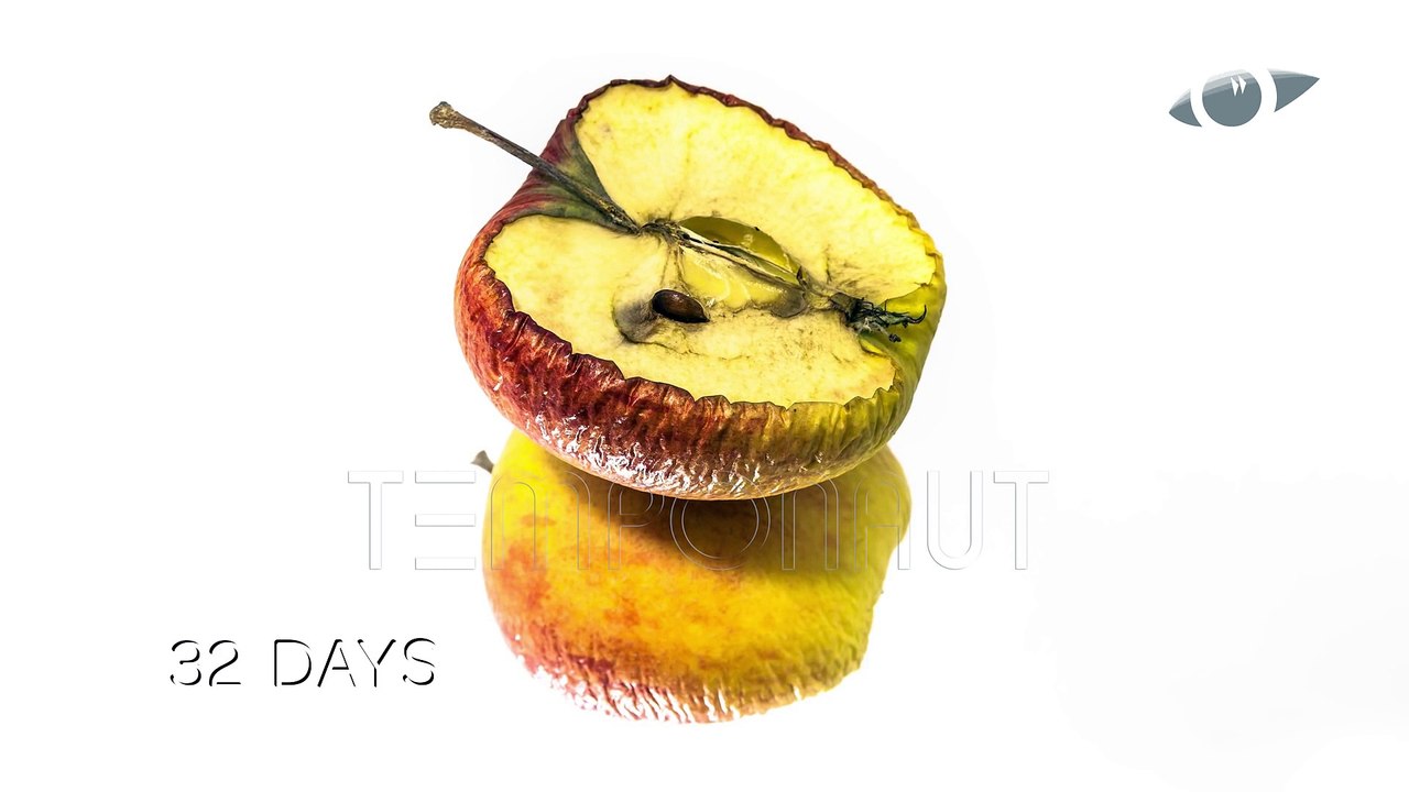 Apple Decomposition Timelapse