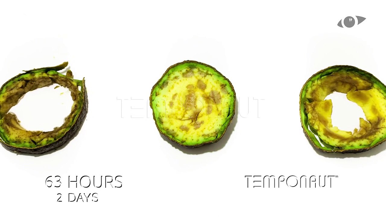 Avocado Timelapse (1)