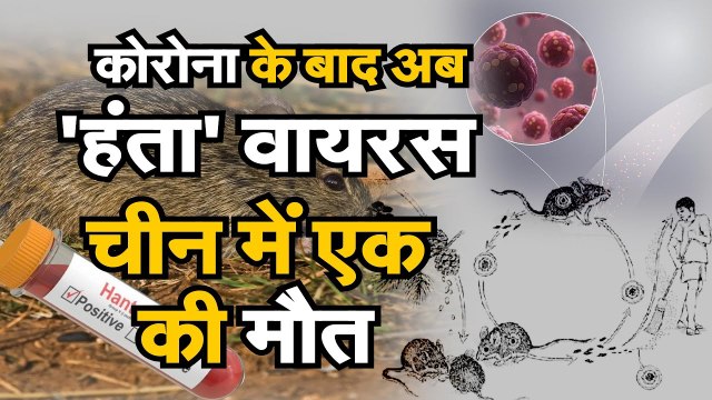 Hantavirus in China Orthohantavirus कोरोना के बाद अब 'हंता' वायरस चीन में एक की मौत