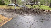 Storm leaves massive brush damage