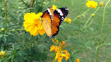 # hindi motivation,#motivation video,#inspiring video,