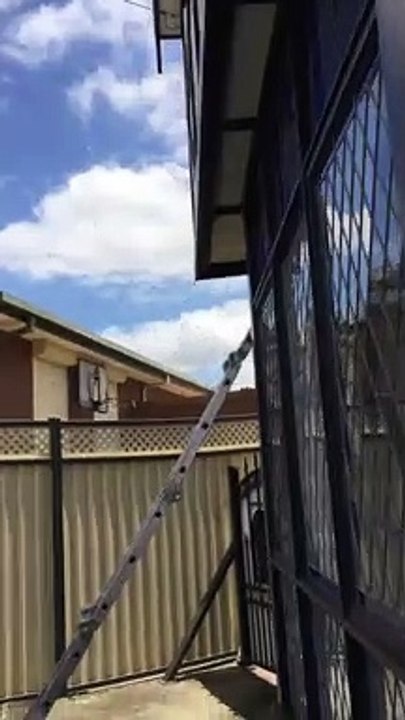 Say Goodbye to Bees with Our Eco-friendly Bee Removal Service