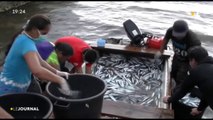 Un pêcheur offre pour 400 000 francs de poisson aux plus démunis