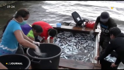 Un pêcheur offre pour 400 000 francs de poisson aux plus démunis
