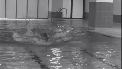 3-Style Swimming