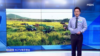 [MBN 프레스룸] 김태일 기자 / 여기도 저기도 갈아엎어지는 봄의 전령사