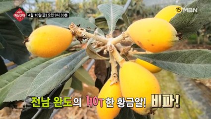 생생 정보마당 [611회] - 설레는 금요일