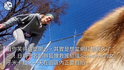 petmao_nownews-copy2-20200409-16:09