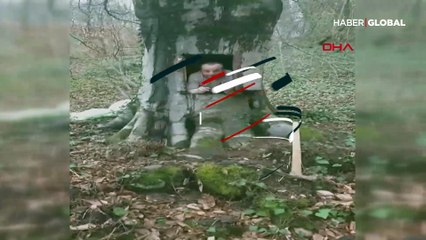 Koronavirüsten korunmak için ağacı oydu, yasal işlem başlatıldı