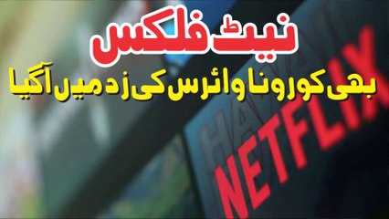 Netflix Is ​Also Infected With The | Coronavirus COVID-19