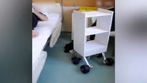 İstanbul'daki hastanede koronavirüs hastalarına yemek ve ilaç servisi robot ile yapılıyor