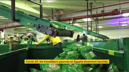 Coronavirus : les travailleurs pauvres en Egypte durement touchés