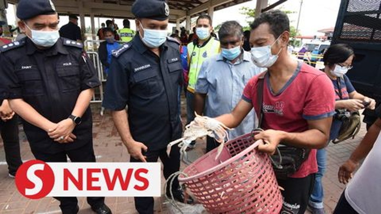 MCO violation: Five fined RM1k so far in Penang