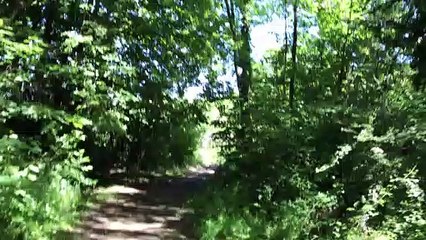 Jogging Illustration 🏃‍♂️ - thumbnail