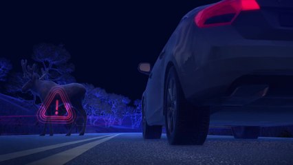 Volvo XC90 Animal Detection animation