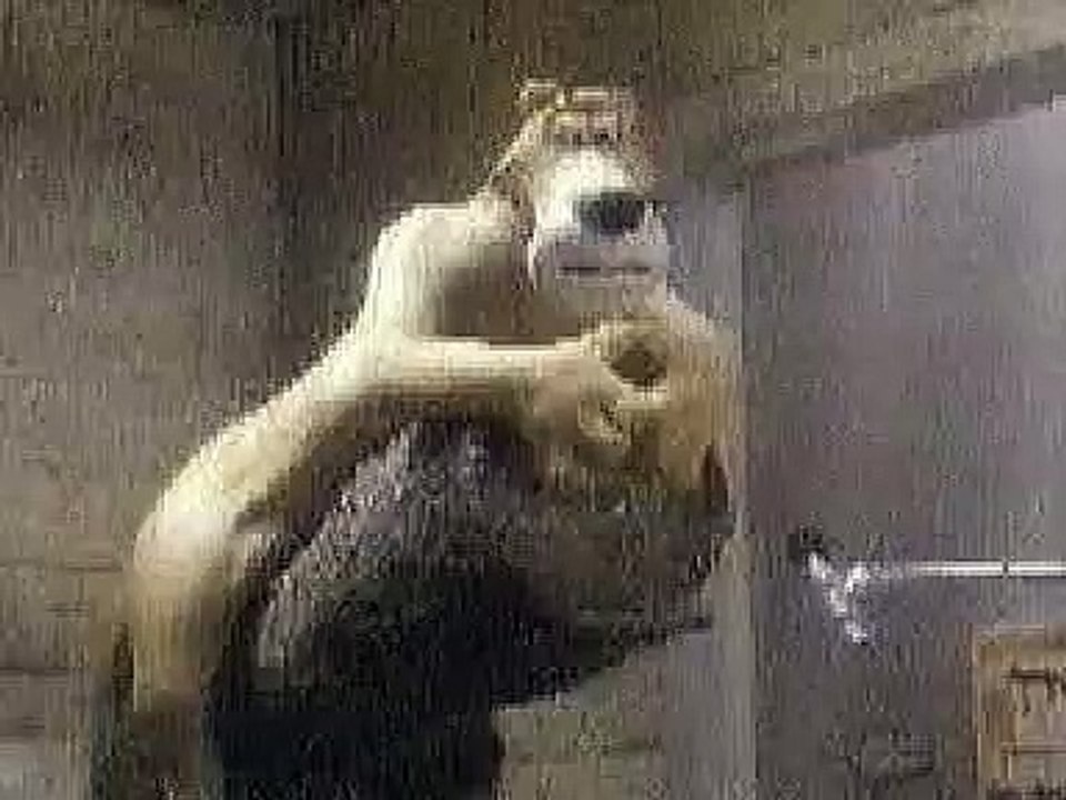 large video mukj