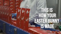 Easter: Take a look how your Maltesers Bunnies are made