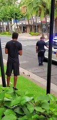 Police Stop Traffic to Help a Family of Ducks Across the Street