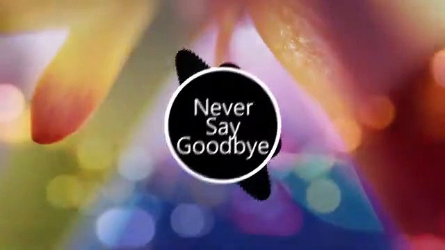 NEVER SAY GOOD BYE BY DJ CAREYKROOK