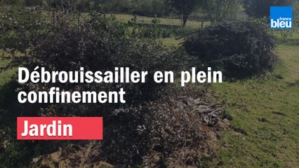 Jour 25, essayer de débroussailler lors du confinement