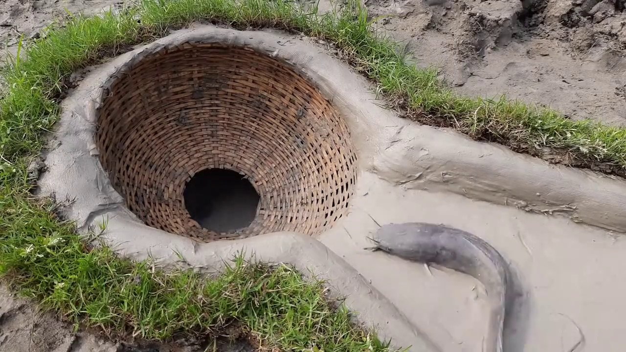 Unique Fish Trapping System - Build Deep Hole Underground Fish Trap