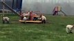 Ces moutons ont remplacé les enfants sur le tourniquet au parc !