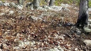 Shenandoah National Park Part 2 Rocky Mountain Ghosts! Lunar Paranormal Virginia April 2020