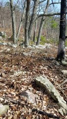 Shenandoah National Park Part 2 Rocky Mountain Ghosts! Lunar Paranormal Virginia April 2020