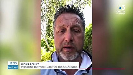 Confinement : deux rorquals aperçus près des côtes à Marseille