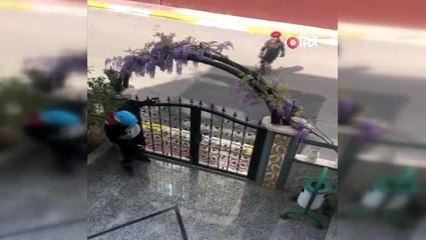 Polis siren sesiyle gündem olan patenci çocuklar o anları anlattı