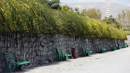 The Streets of Tehran Under Quarantine