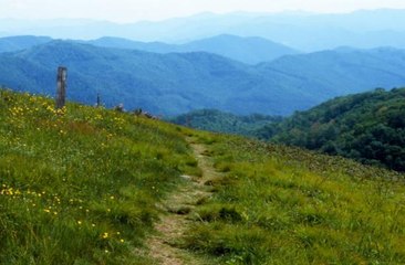 Virtually Hike the Appalachian Trail With This App