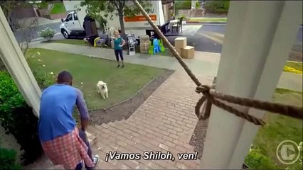 ¿Y dónde está el fantasma 2 Inactividad paranormal 2 latino HD