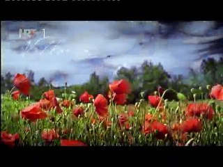 #36 - Vrtlarica 02.12.2012 - Prirodna apoteka