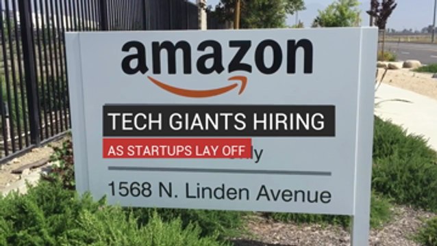 Tech Giants Hiring As Startups Lay Off