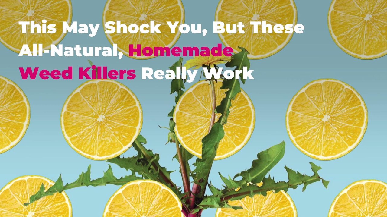 This May Shock You, But These All-Natural, Homemade Weed Killers Really Work
