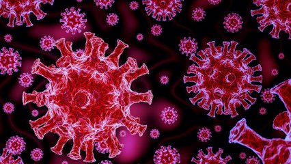 New York Testing COVID-19 Plasma Treatment