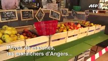 Coronavirus: privés de marchés, les maraîchers d'Angers occupent bars et salons de coiffure